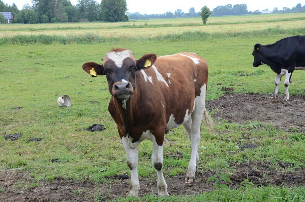 Farm Stay Hof Auf Der Wurp Harrierwurp Exteriör bild